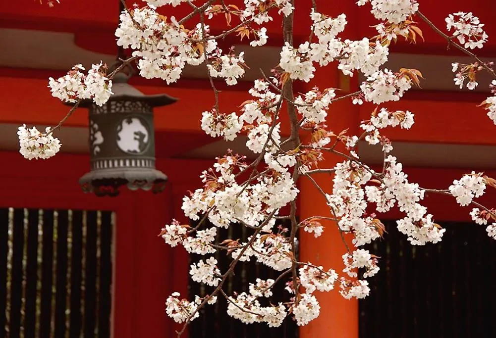Villa Nanako House Kyōto